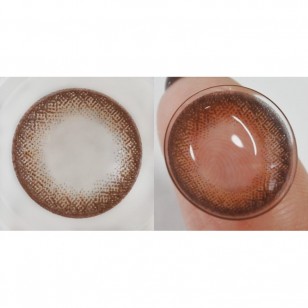 FLANMY Doughnut Brown 10片裝